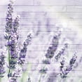 thumbnail image 2 of Kimberly, Allen 26x26 Black Ornate Wood Framed with Double Matting Museum Art Print Titled - Lavender Fields 2, 2 of 4