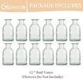 thumbnail image 7 of Glasseam Glass Bud Vases Bulk for Flowers Set of 12 Striped Clear Small Vase for Table Centerpieces, 7 of 7