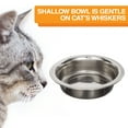 thumbnail image 6 of Neater Pets Neater Feeder Express Mess-Proof Elevated Food & Water Bowls for Cats, Almond, 6 of 11