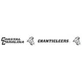 thumbnail image 5 of Coastal Carolina Chanticleers Fire Pit, 5 of 5