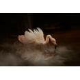 thumbnail image 2 of Wisniowska, Krystina 14x11 White Modern Wood Framed Museum Art Print Titled - Flamingos Paradise, 2 of 4