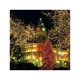 thumbnail image 3 of 100M 600 LED String Lights Carnival Wedding Outdoor Indoor Garden Lighting (Warm White), 3 of 4