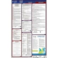 thumbnail image 2 of 2025 Mississippi Labor Law Poster, All-in-One OSHA Compliant MS State & Federal Laminated Poster (24" x 40" English)2, 2 of 6