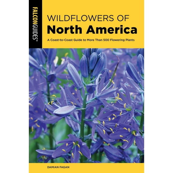 Wildflower Wildflowers of North America, (Paperback)