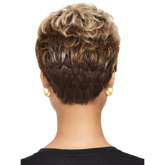 XIAQUJ Women Natural Synthetic Hair Wig Short Mix Colors Full Wigs Party Hair Wigs Wigs for Women brown