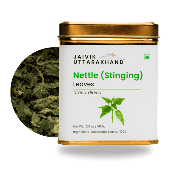 Jaivik Uttarakhand - Nettle Herbal Tea (2 oz), Daily Wellness leaves with Smooth Flavor, 1 Tin Can