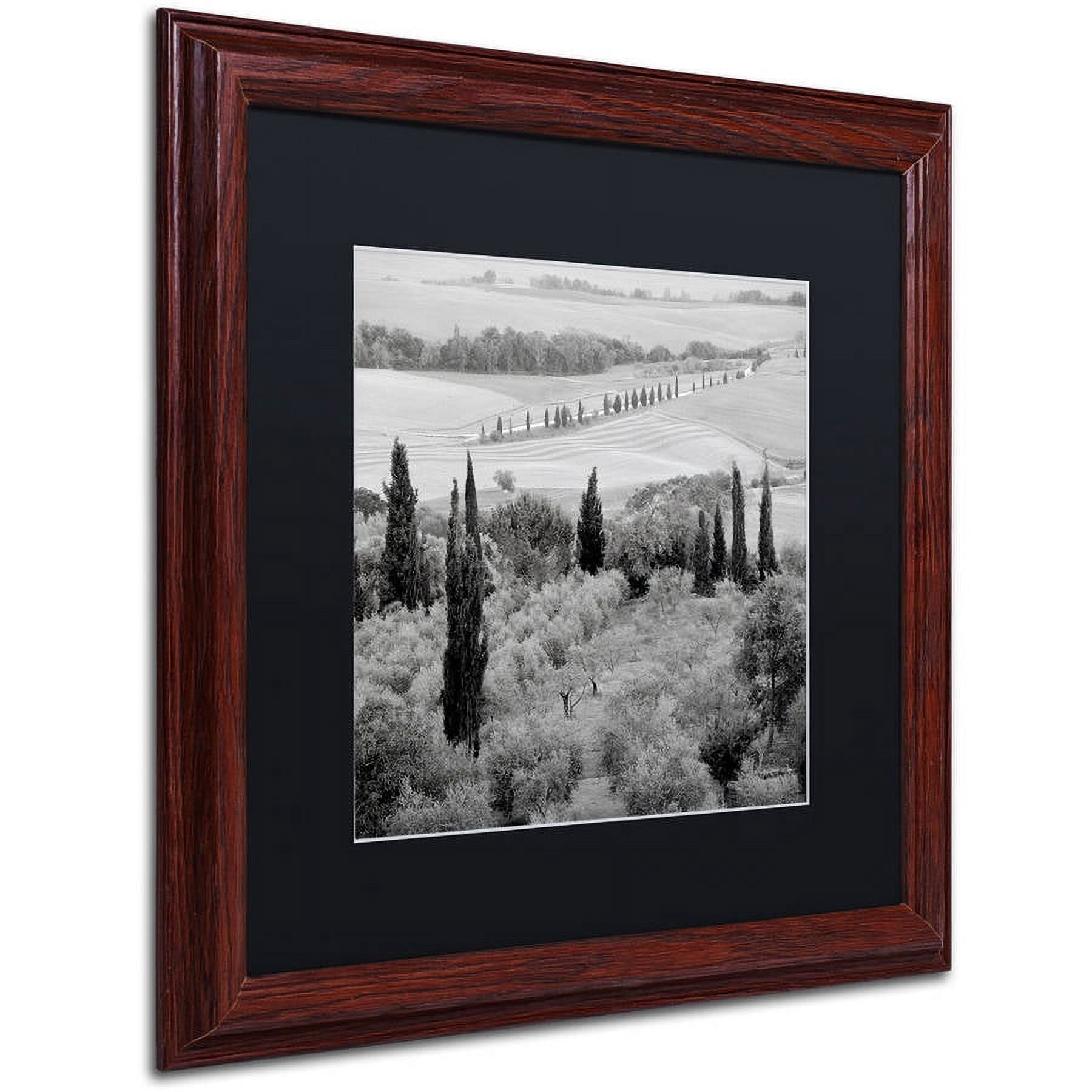 Trademark Fine Art "Tuscany X" Canvas Art by Alan Blaustein, Black Matte, Wood Frame