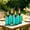 Green, variant on 4 Pack Blue Glass Torches for Outside Tabletop with Wick and Cap,Citronella Torches Outdoor,Refillable Torch Canister,Decorative Tabletop Lantern for Yard,Patio,Deck,Garden,Outdoor Party,Landscape