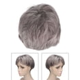 thumbnail image 4 of Peluca corta gris para hombre peluca gris para hombre viejo en capas para fiesta de anime ANGGREK Otros, 4 of 8