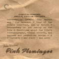 thumbnail image 4 of Pink Flamingos (Criterion Collection), 4 of 4