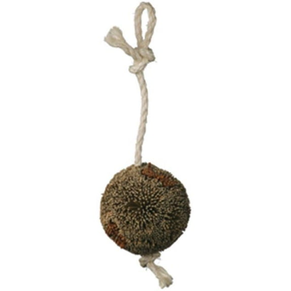 Caitec 40010 Bristle Ball - Large