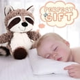 thumbnail image 3 of 2 piezas de mapache de peluche, mapache pequeño, animal de peluche, lindo mapache de peluche, mapache marrón, peluche, mapache del bosque, juguete de peluche, animal de peluche suave, 3 of 5