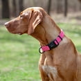 thumbnail image 5 of Dogline Nylon Flat Collar, 5 of 15
