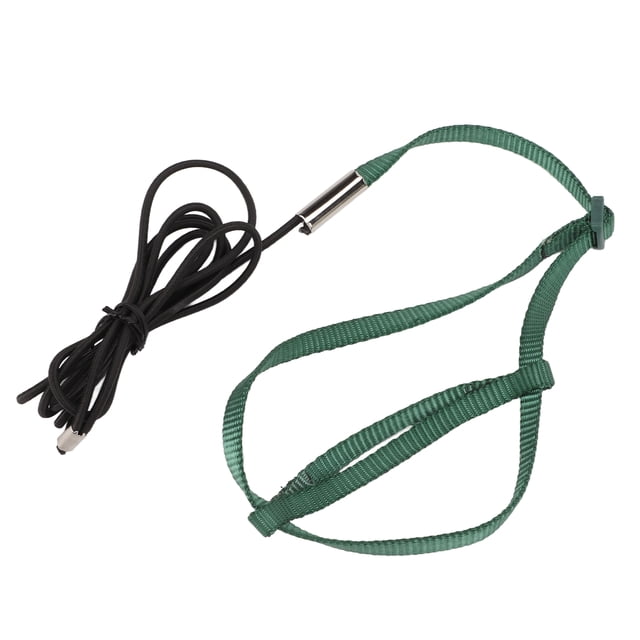 Bird Training Rope, Ultra Light Bite Resistant Nylon Webbing Bird Harness Leash For Cockatiel Green