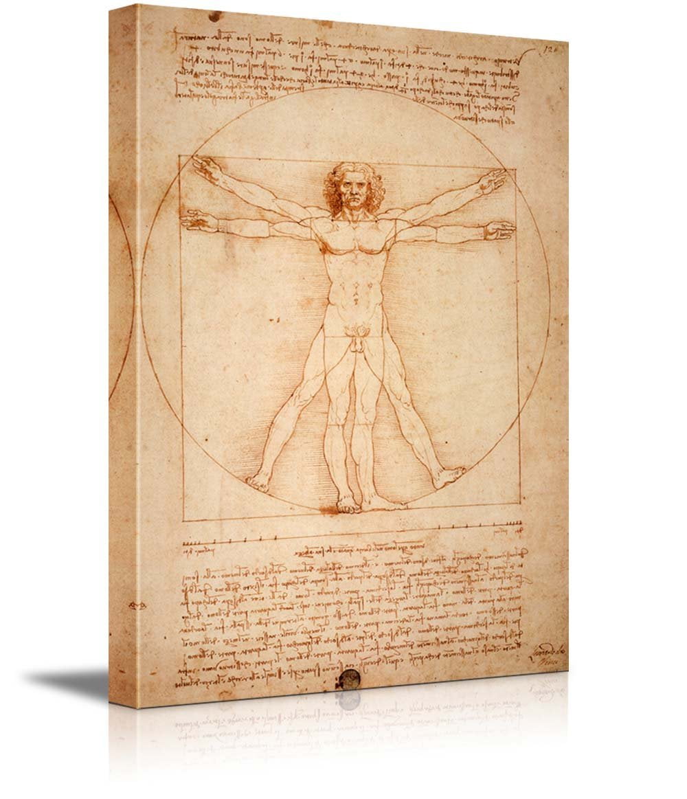 Vitruvian Man by Leonardo Da Vinci Giclee Canvas Prints Wrapped Gallery Wall Art Stretched and