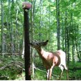 thumbnail image 2 of Fontaine Minérale Blaze 10 lb (pail) par Rack Stacker, 2 of 10