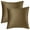 Brown, variant on REGALWOVEN Pack of 2 Velvet Decorative Throw Pillow Covers Modern Cushion Covers with Zipper Grey 12" x 20"