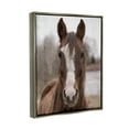 thumbnail image 4 of Stupell Industries Colt Horse Portrait Animals & Insects Painting Gray Floater Framed Canvas Art Print Wall Art, 17 x 21, 4 of 10