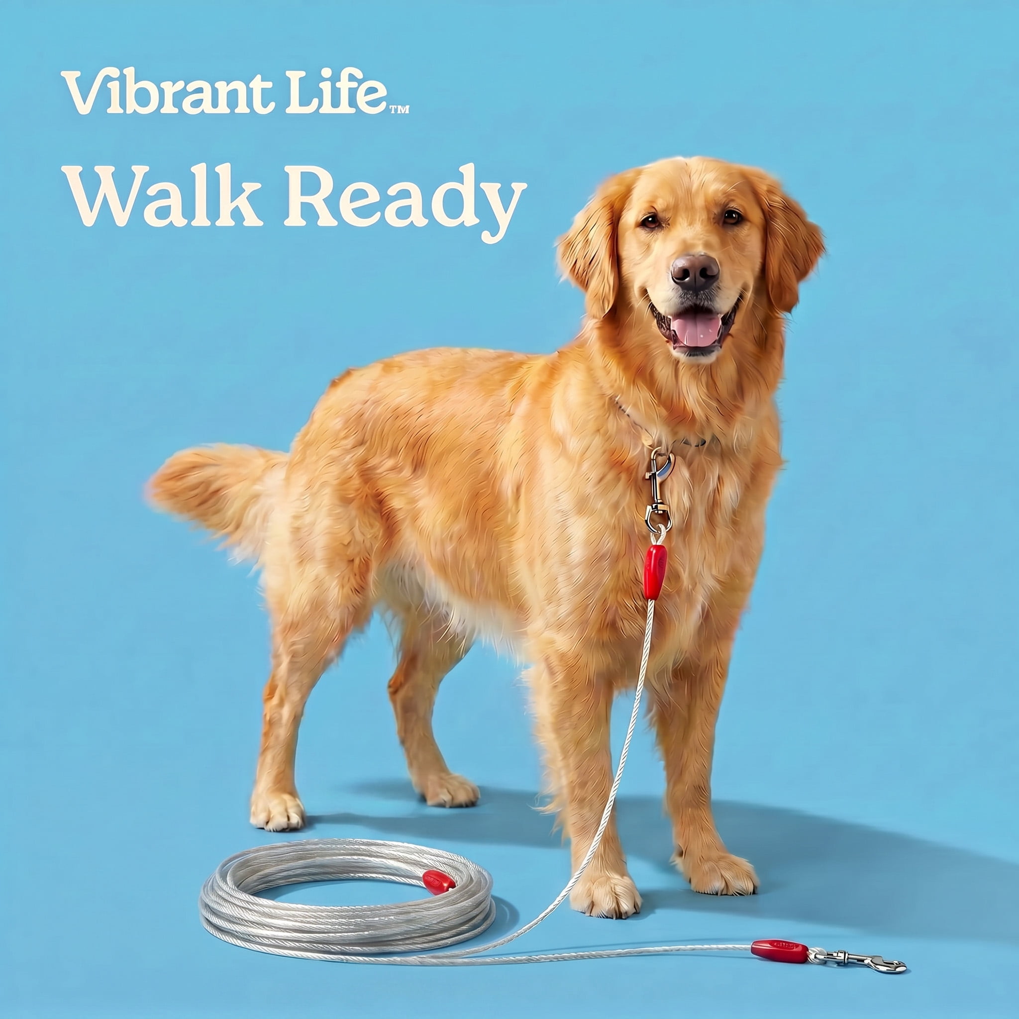 (3 pack) Vibrant Life Reflective Vinyl-Covered Tie-Out Cable for Dogs, Super, 25'