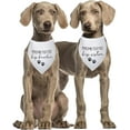 thumbnail image 6 of Promoted to Big Brother Sister Pet Dog Bandanas Triangle Scarf Bandanas Bibs Birthday Party Props Gender Revealing Photo Props Accessories for Pet Dog Lovers Gifts Pack of 2, 6 of 6