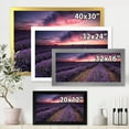 thumbnail image 4 of Designart 'Dramatic Clouds and Sunrise Over Lavender Field IX' Farmhouse Framed Art Print, 4 of 4