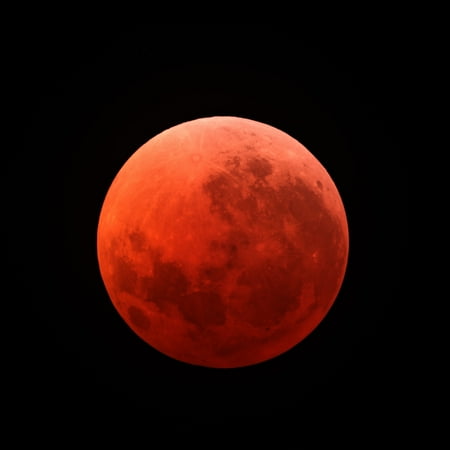 15 Poster Print - Lunar eclipse taken on April 15 2014 Poster Print