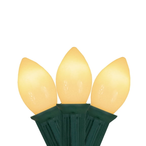 Northlight Opaque C7 Christmas String Lights - Clear - 24' Green Wire - 25ct