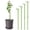 D, variant on Plant Support Stakes, Garden Flower Support Frame with Plastic Clips, Reusable Stem Plant Stakes for Tomatoes Vegetables and Climbing Plants