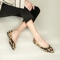 thumbnail image 6 of Ruiatoo Women's Flats Pointed Toe Knit Comfortable Slip On Ballet Flat Casual, Work Teacher Dressy Shoes Leopard 39, 6 of 6