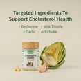 thumbnail image 6 of Snap Supplements Liver Health Support Supplement, Natural Liver Cleanse Detox and Repair, 60 Count (Liver + Cholesterol (60 x 2 Count)) - 3 pack, 6 of 10