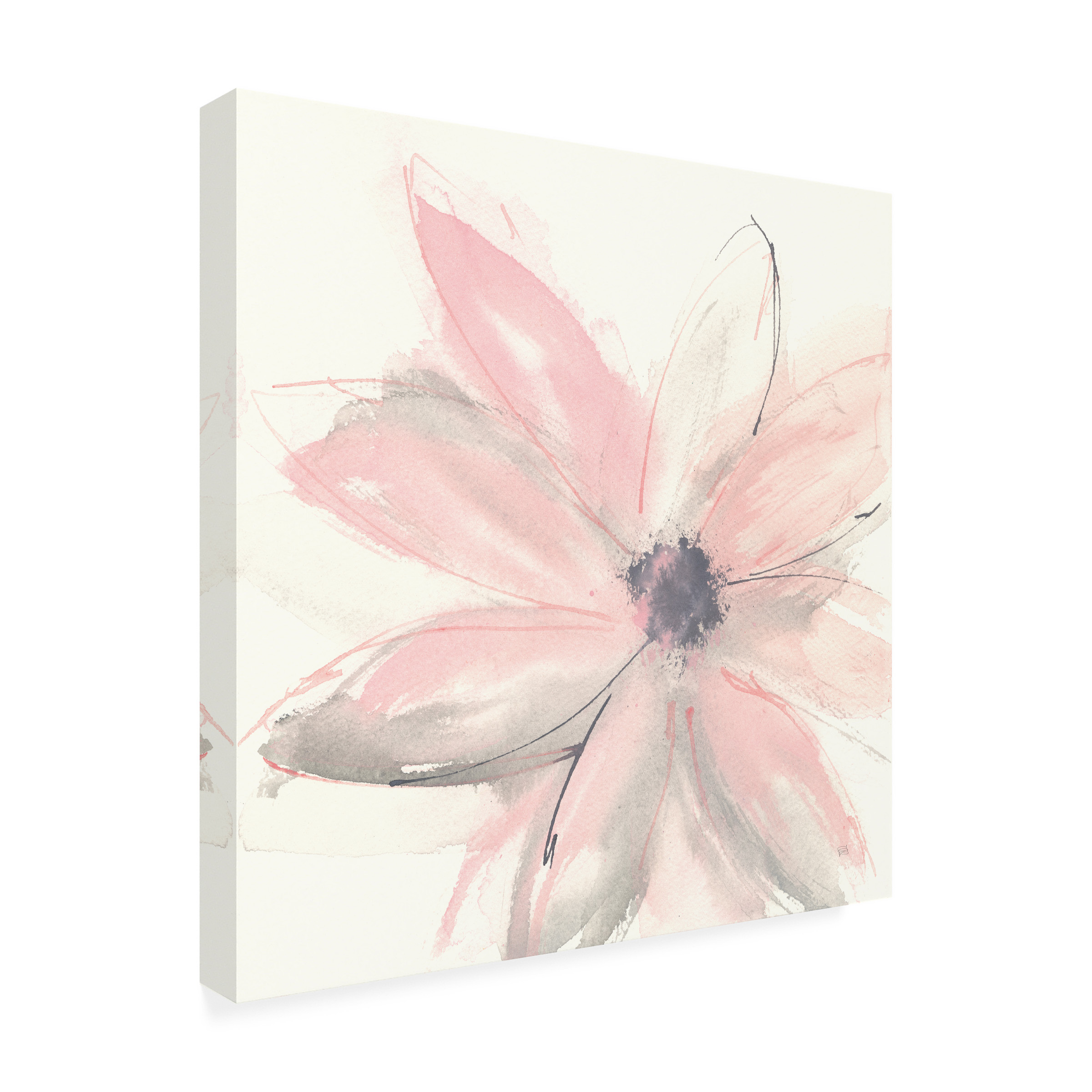 Trademark Fine Art Chris Paschke Blush Clematis I Canvas Wall Art - 24x24