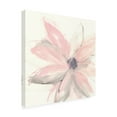 thumbnail image 3 of Trademark Fine Art Chris Paschke Blush Clematis I Canvas Wall Art - 14x14, 3 of 5