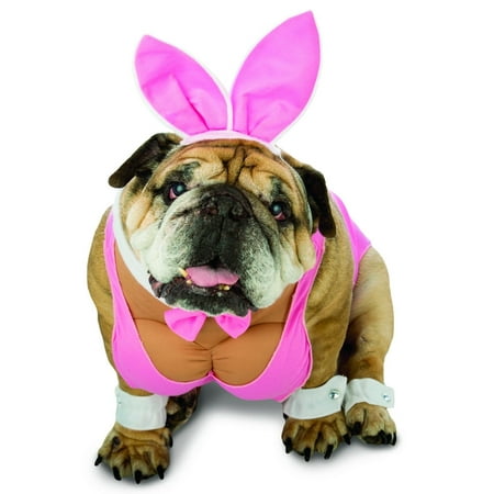Rasta Imposta Hunny Bunny Dog Costume, XX-Large