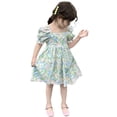 thumbnail image 2 of Nmnitkp Girl Dresses Summer Cute Print Sleeveless Round Necktie Pocket Children's Dress Green,2 Years, 2 of 8