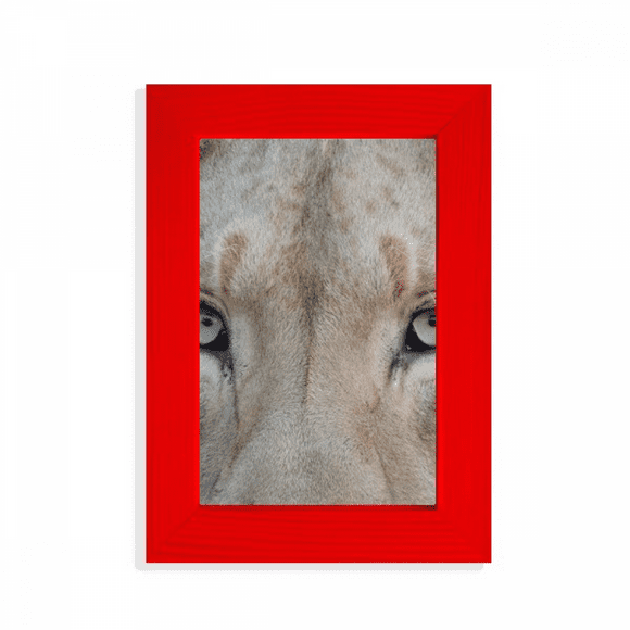 m Animal White Lion Picture Display Art Red Photo Frame