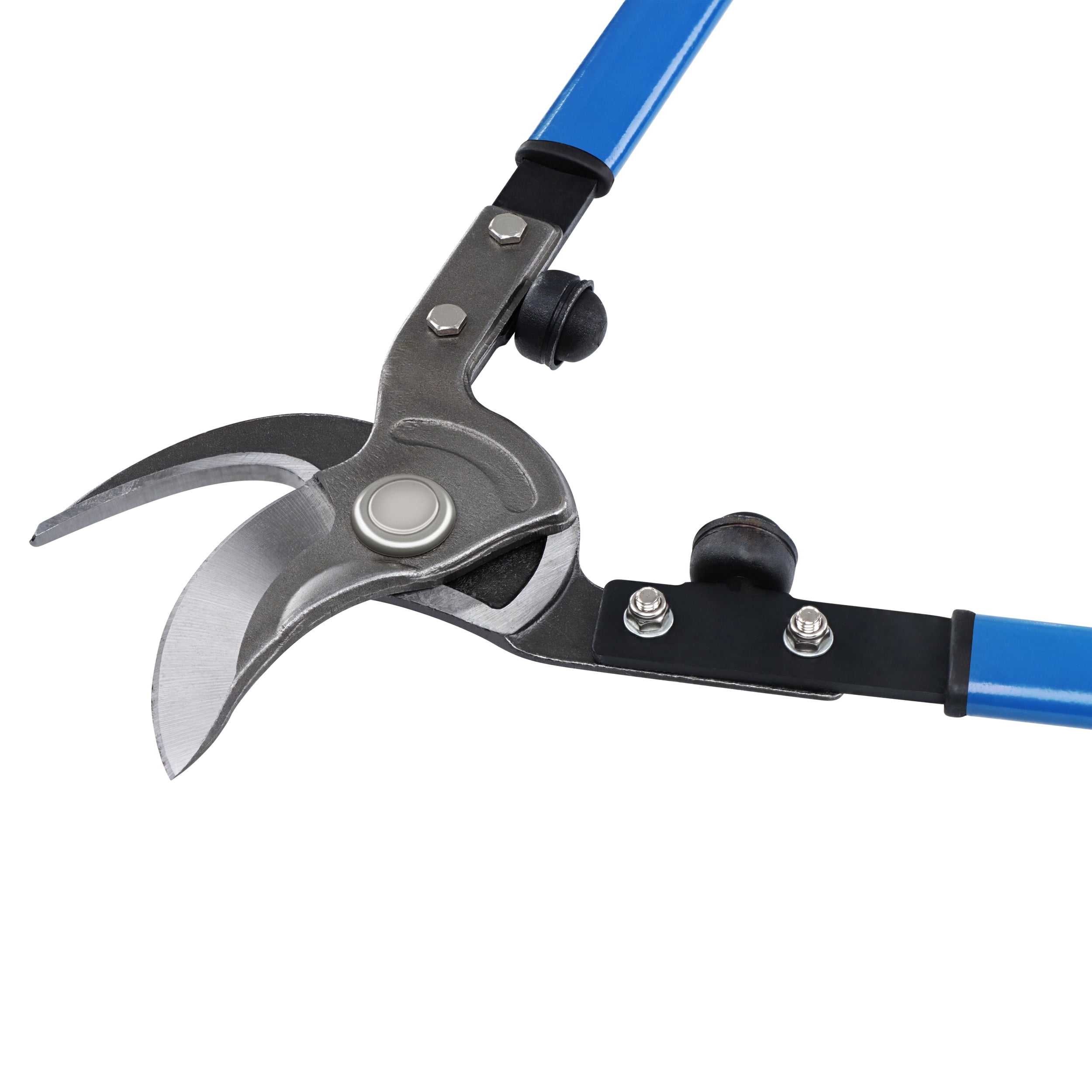 Garden Shears Bunnings Fasci Garden