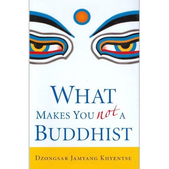 Pre-Owned What Makes You Not a Buddhist (Hardcover) 1590304063 9781590304068
