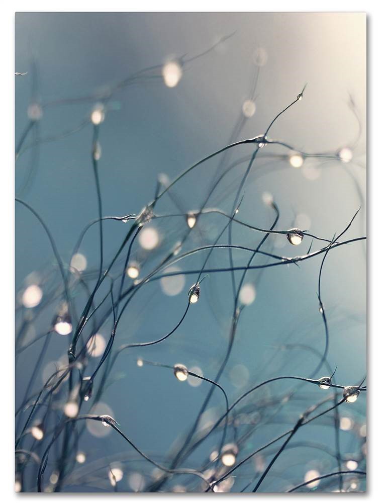 Beata Czyzowska Young 'When You're Sleeping' Multi Panel Art Set Large