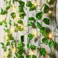 thumbnail image 4 of BrightSide LED Cascading Curtain Vine Indoor Lights, Warm White, 3.5ft W x 5ft H, 4 of 9