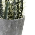 thumbnail image 3 of Nearly Natural 4845 Decorative Cactus Garden with Cement Planter Multi Color (4845), 3 of 4