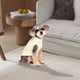 thumbnail image 2 of Suéter acogedor para razas pequeñas y grandes Diseño de punto suave para una comodidad máxima Ideal para el clima frío Duradero y fácil de limpiar Perfecto para uso en interiores y exteriores, 2 of 4