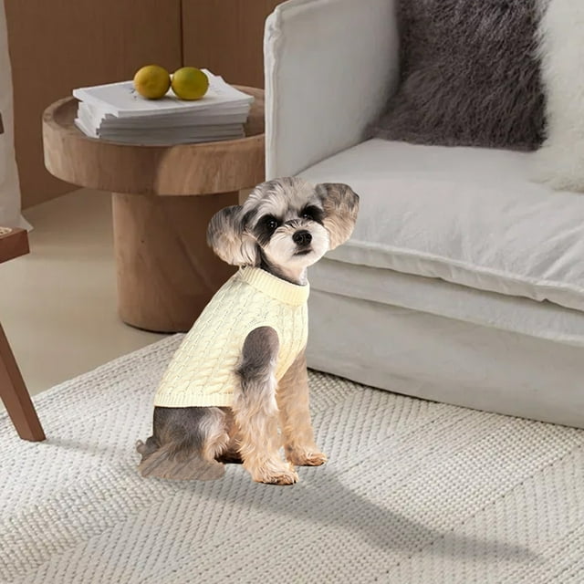 Modern Minimalist Style Pet Sweater For Comfort And Warmth Apparel For Cold Weather Activities