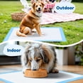 thumbnail image 4 of Almohadilla de entrenamiento FluffyDream superabsorbente e impermeable para perros, 4 of 7