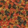 thumbnail image 4 of TetraColor Flocons Tropicaux, 4 of 6