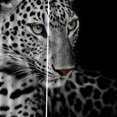 thumbnail image 3 of 2 Paneles 3D Foto Impresión Cortinas de Ventana Habitación de Naturaleza Animal Imagen Decoración de nieve perfecl Cortina de poliéster, 3 of 8