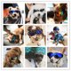 thumbnail image 3 of Gafas para perros, protección ocular, resistentes al viento, impermeables, con protección UV, ajustables, gafas de sol para perros - Azul, 3 of 5