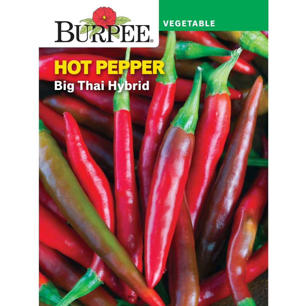 Burpee Big Thai Hybrid Hot Pepper Vegetable Seed, 1-Pack - Walmart.com