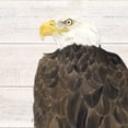 thumbnail image 2 of Reed, Tara 12x12 White Modern Wood Framed Museum Art Print Titled - Let  Freedom Soar II, 2 of 4