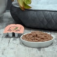 thumbnail image 4 of Vibrant Life Gourmet Salmon Entree Cuts in Gravy, Complete + Balanced, 2.64 oz Split Cup, 4 of 12