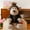 Monkey, variant on Jungle Animal Plush Toys, Soft Stuffed Lion, Elephant, Tiger, Giraffe & Monkey Plushies for Kids, Nursery Decor & Gifts